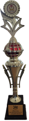 Football Competition by Municipal Council of QB (Custom)
