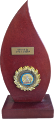 Volleyball by MYS MSSA (Custom)